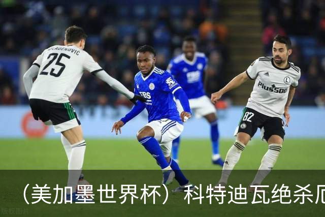 （美加墨世界杯）科特迪瓦绝杀厄瓜多尔 瑞典5:1大胜突尼斯